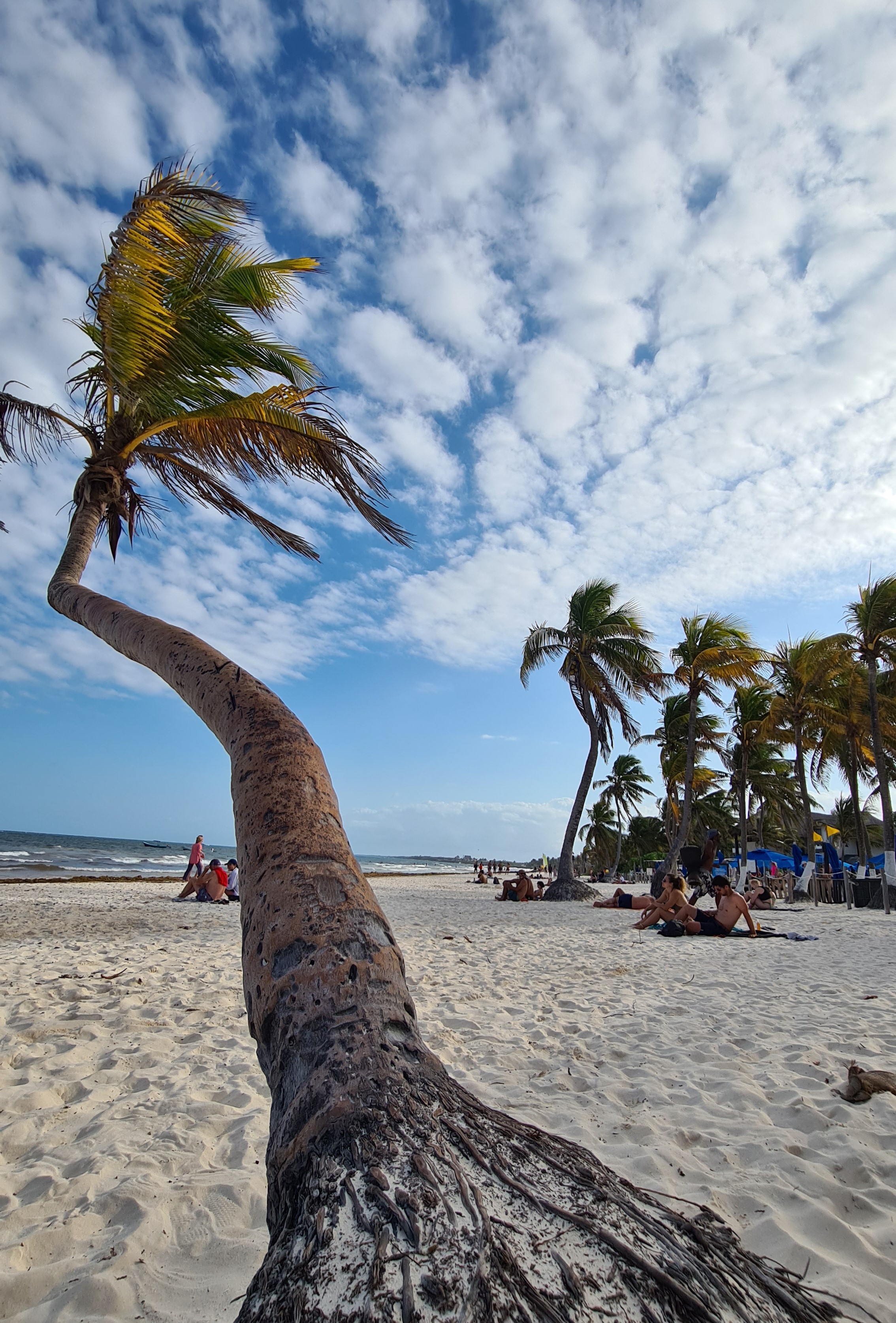 Tulum Paraiso