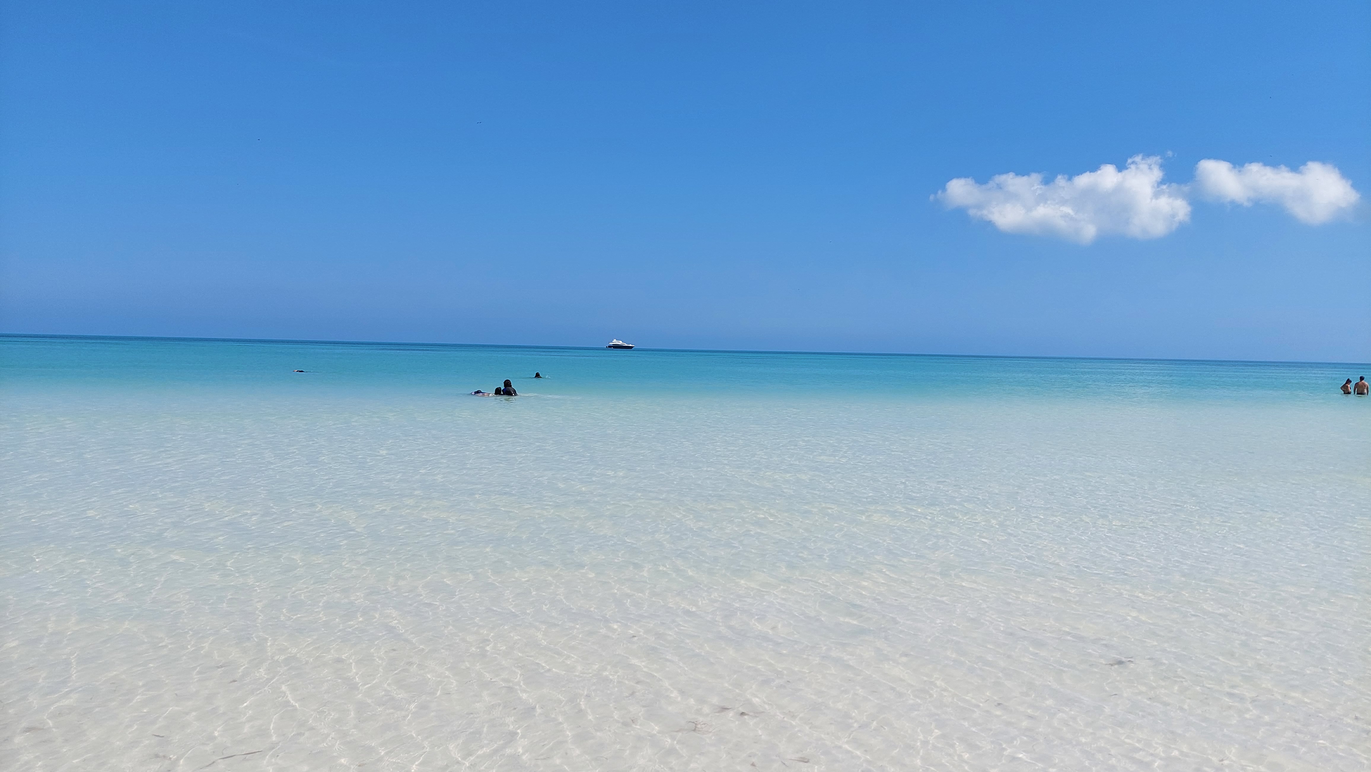 Meer