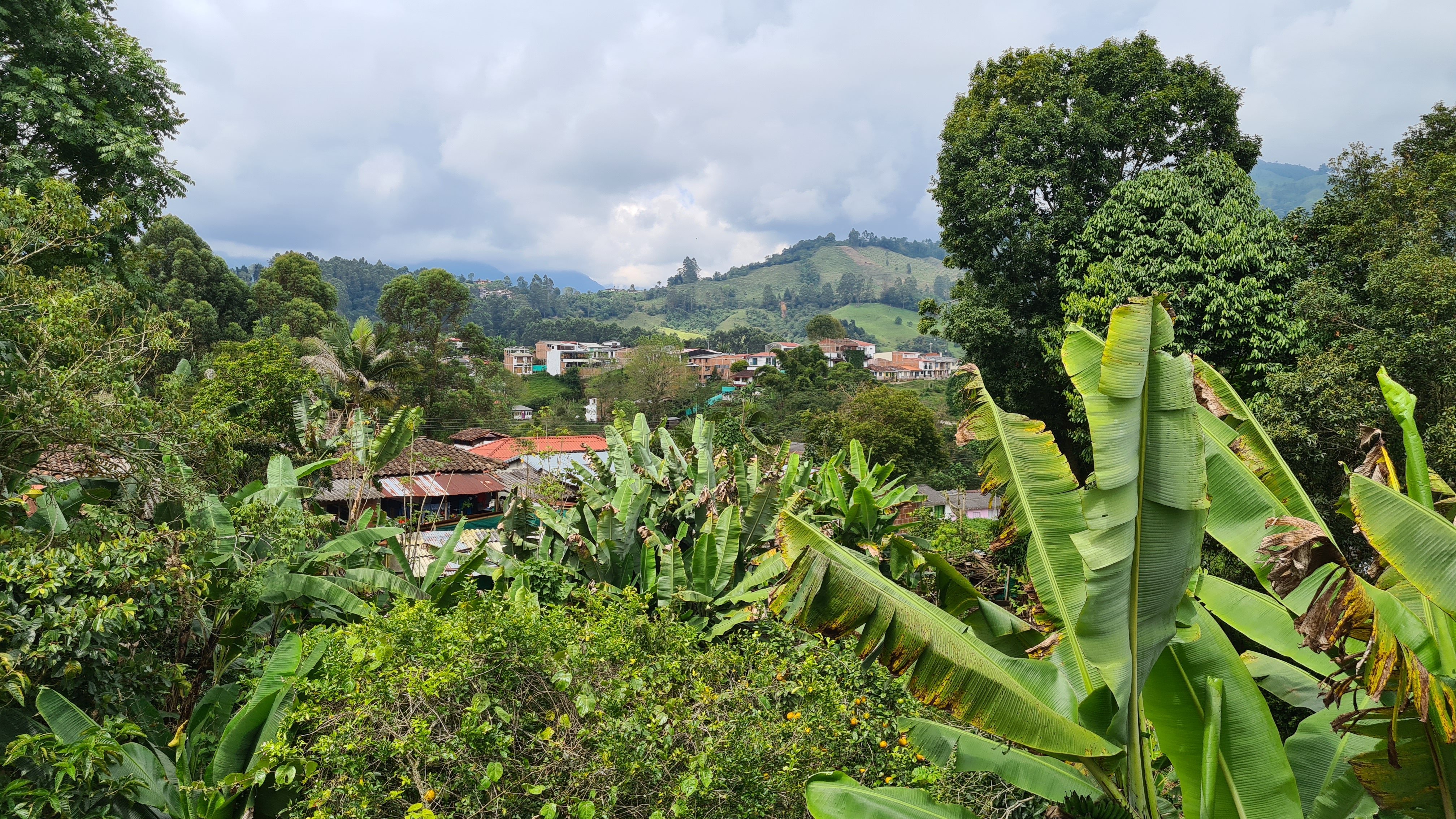 Ausblick Natur