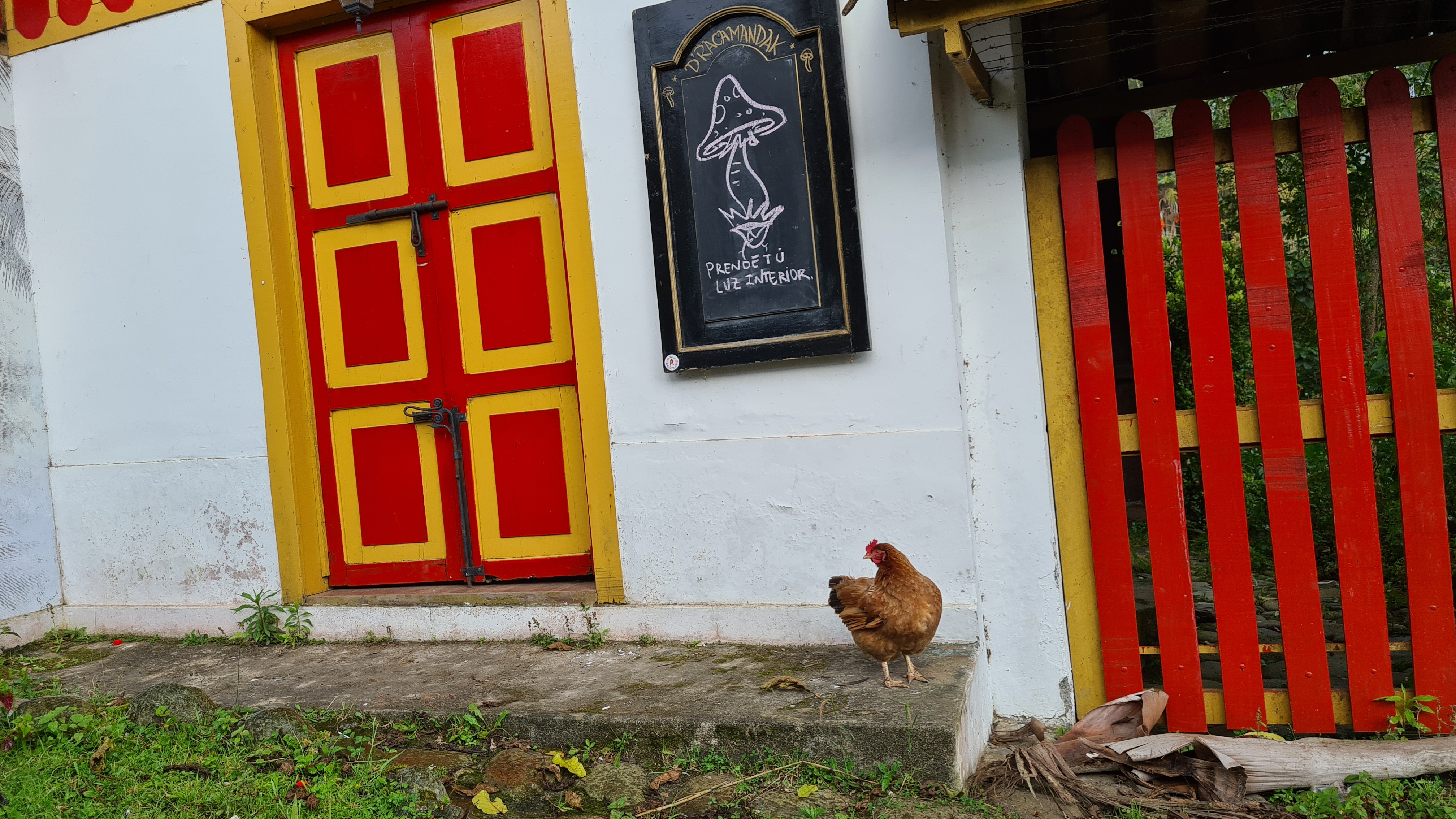 Huhn