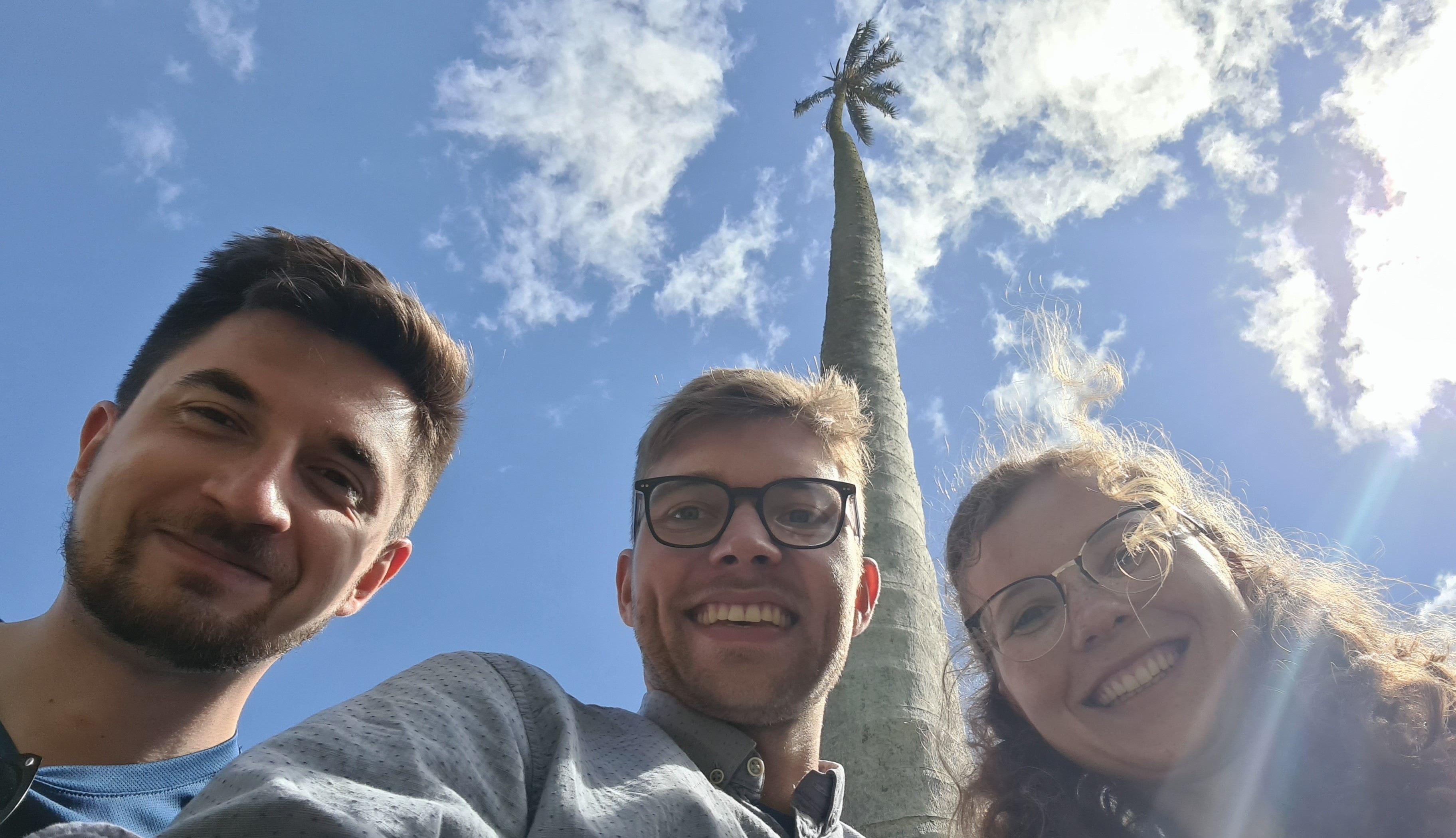 Palmenselfie