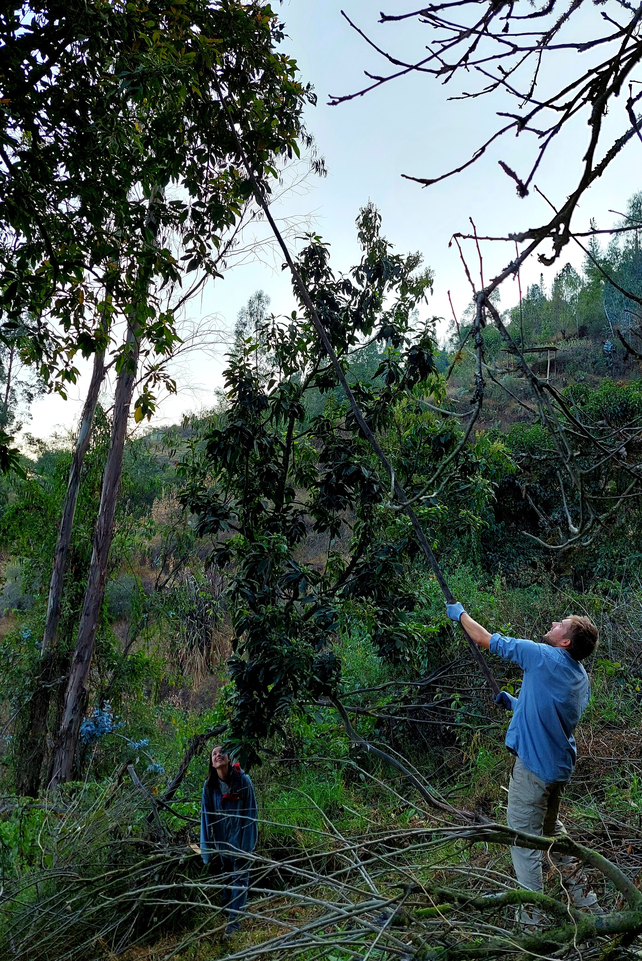 Palta-Jagd
