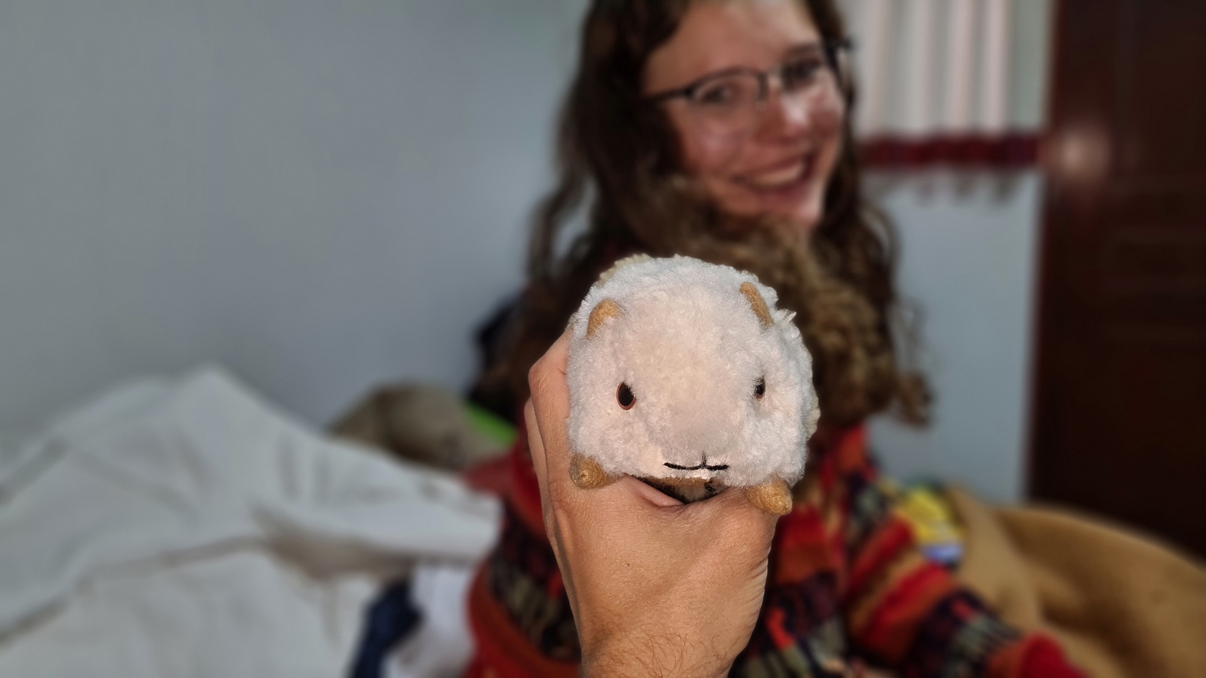 Cuy flausch