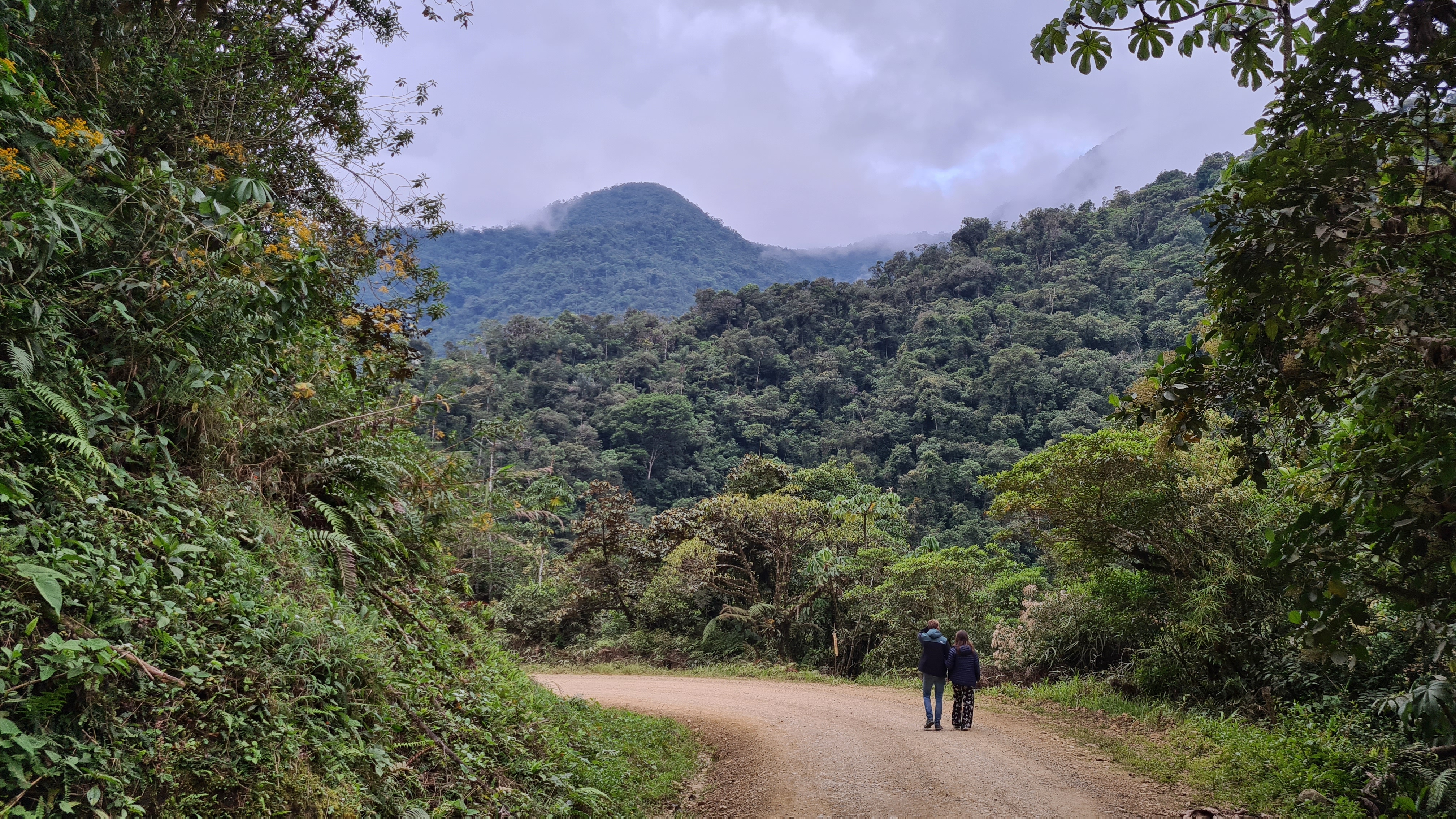 Wandern auf der Straße