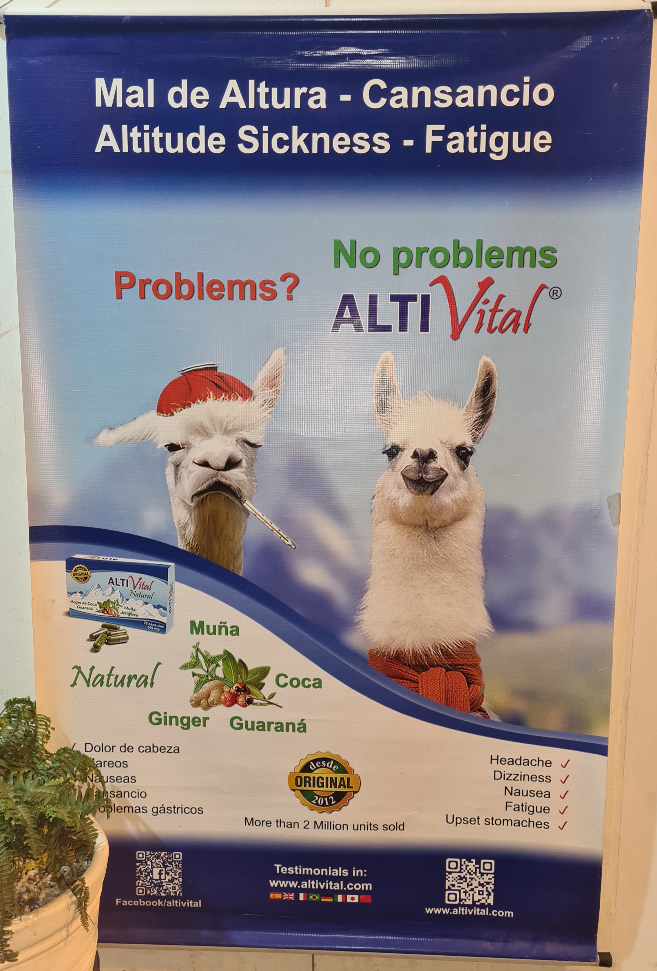 Höhenkrankheit
