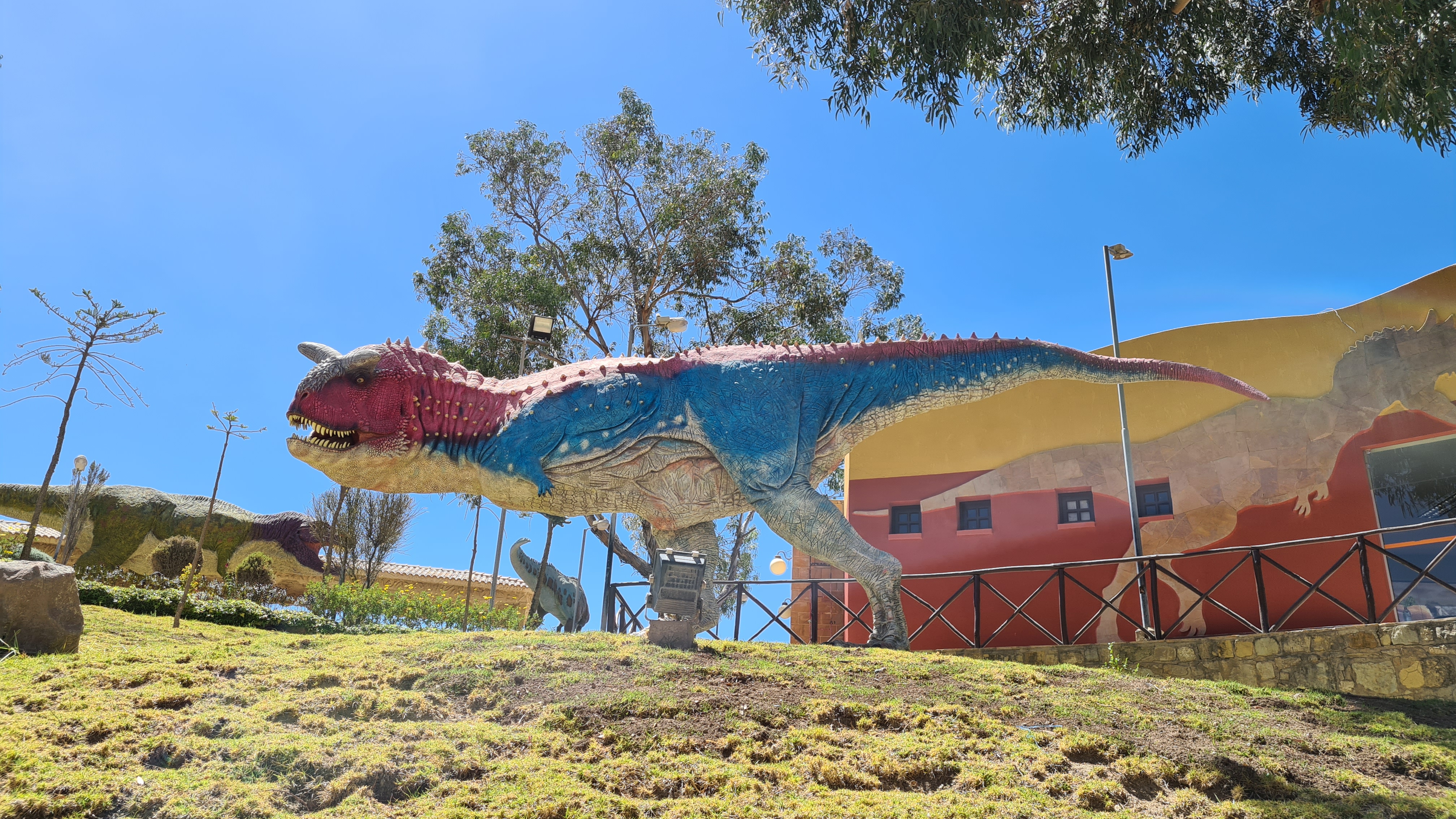 Asaurus