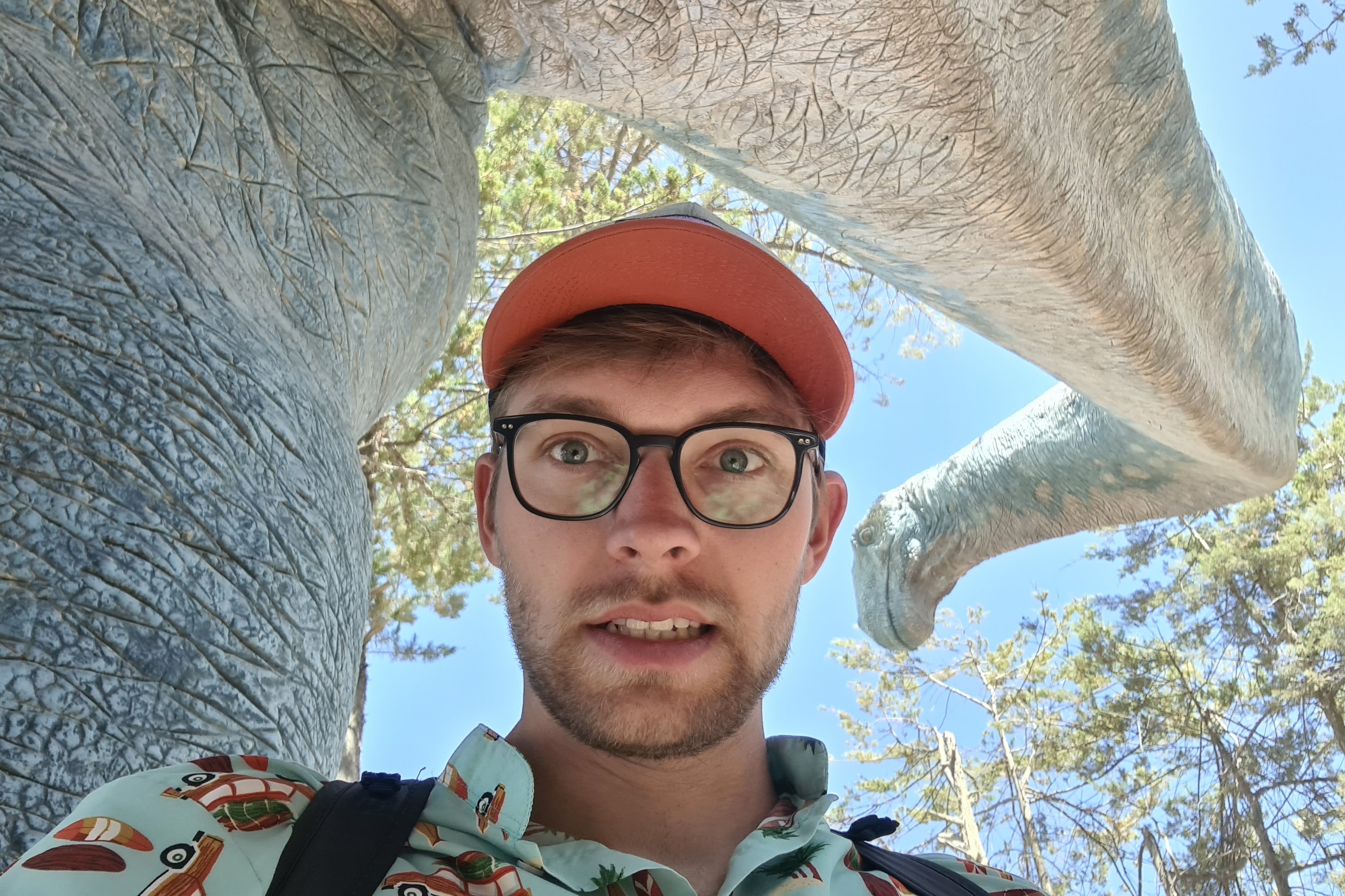Titanosaurus and me