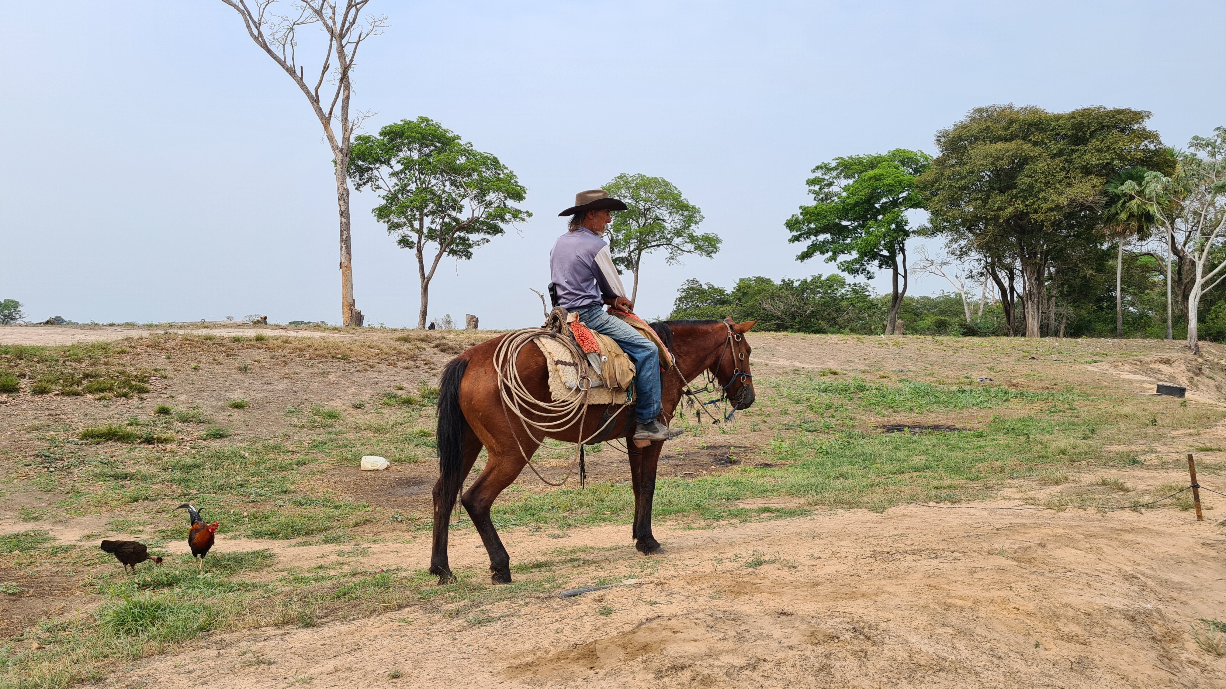 Don Quijote