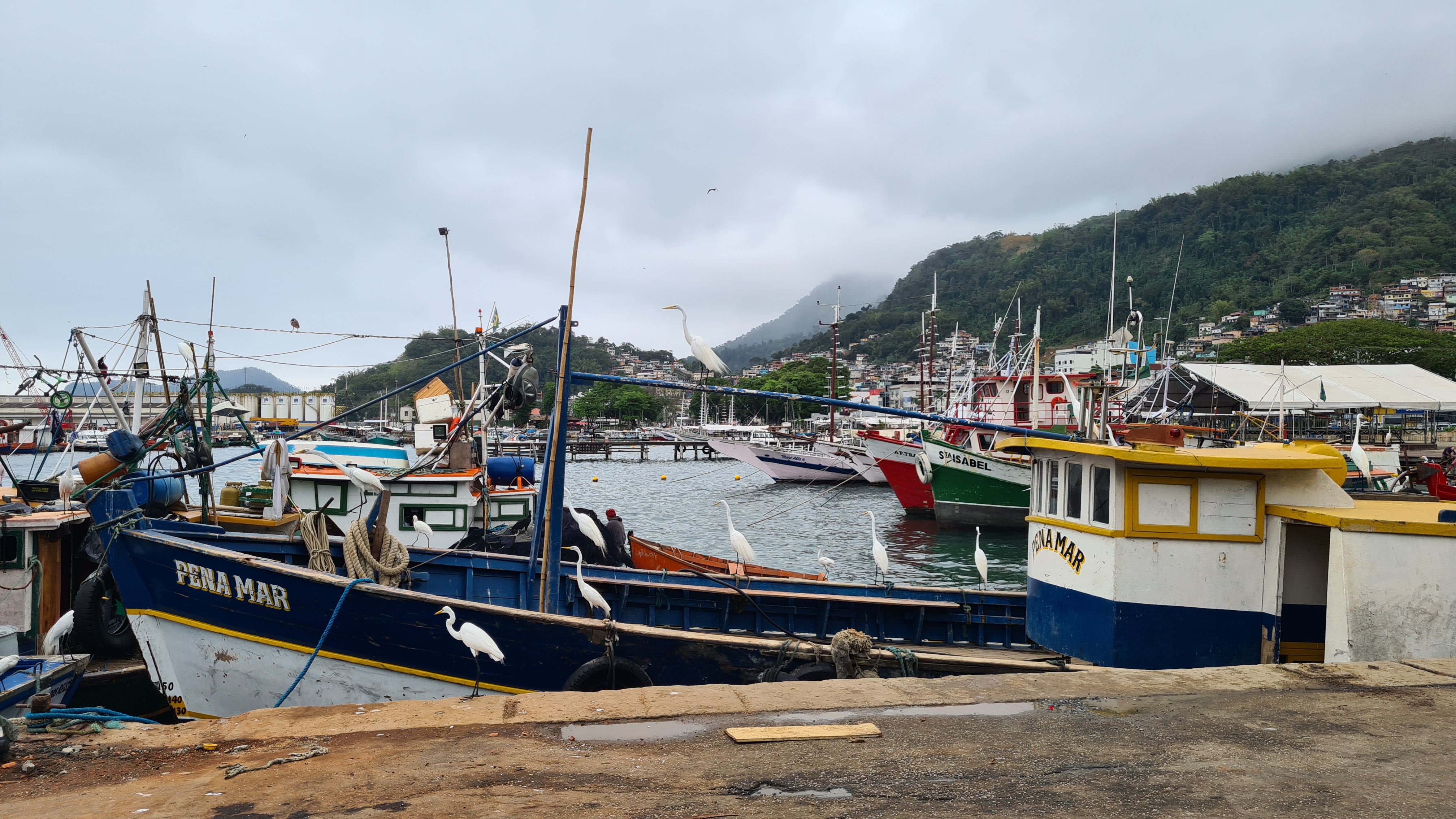 Boote Angra