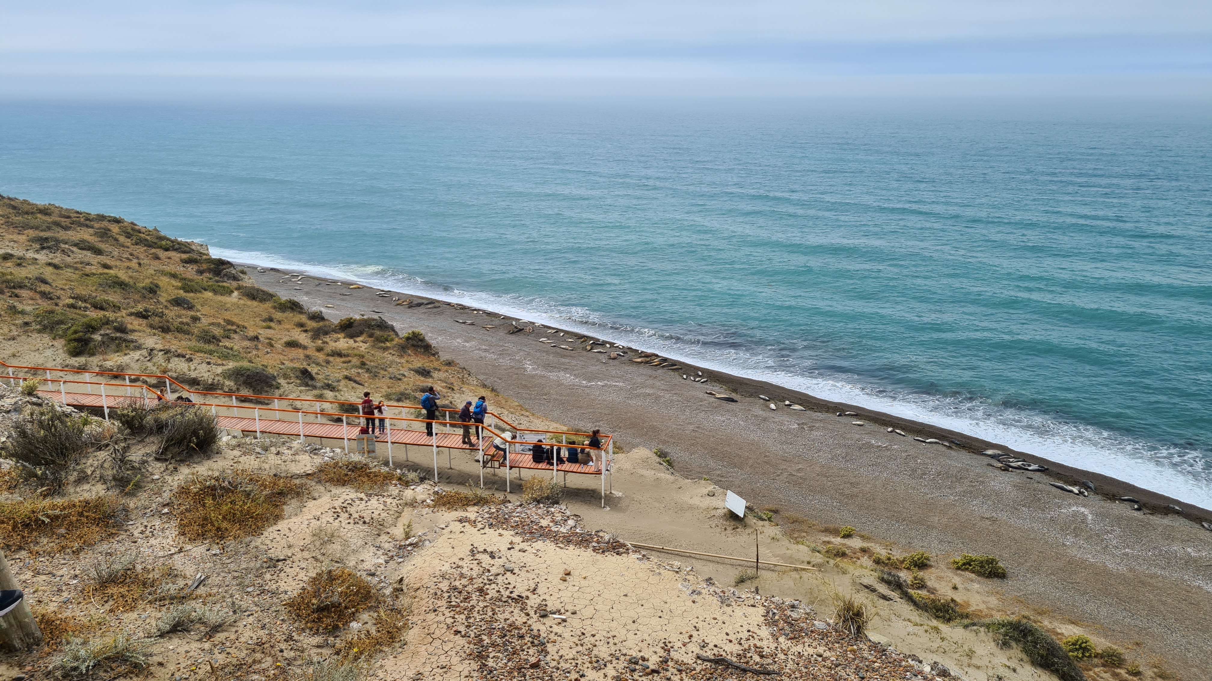 Elefantes am Strand