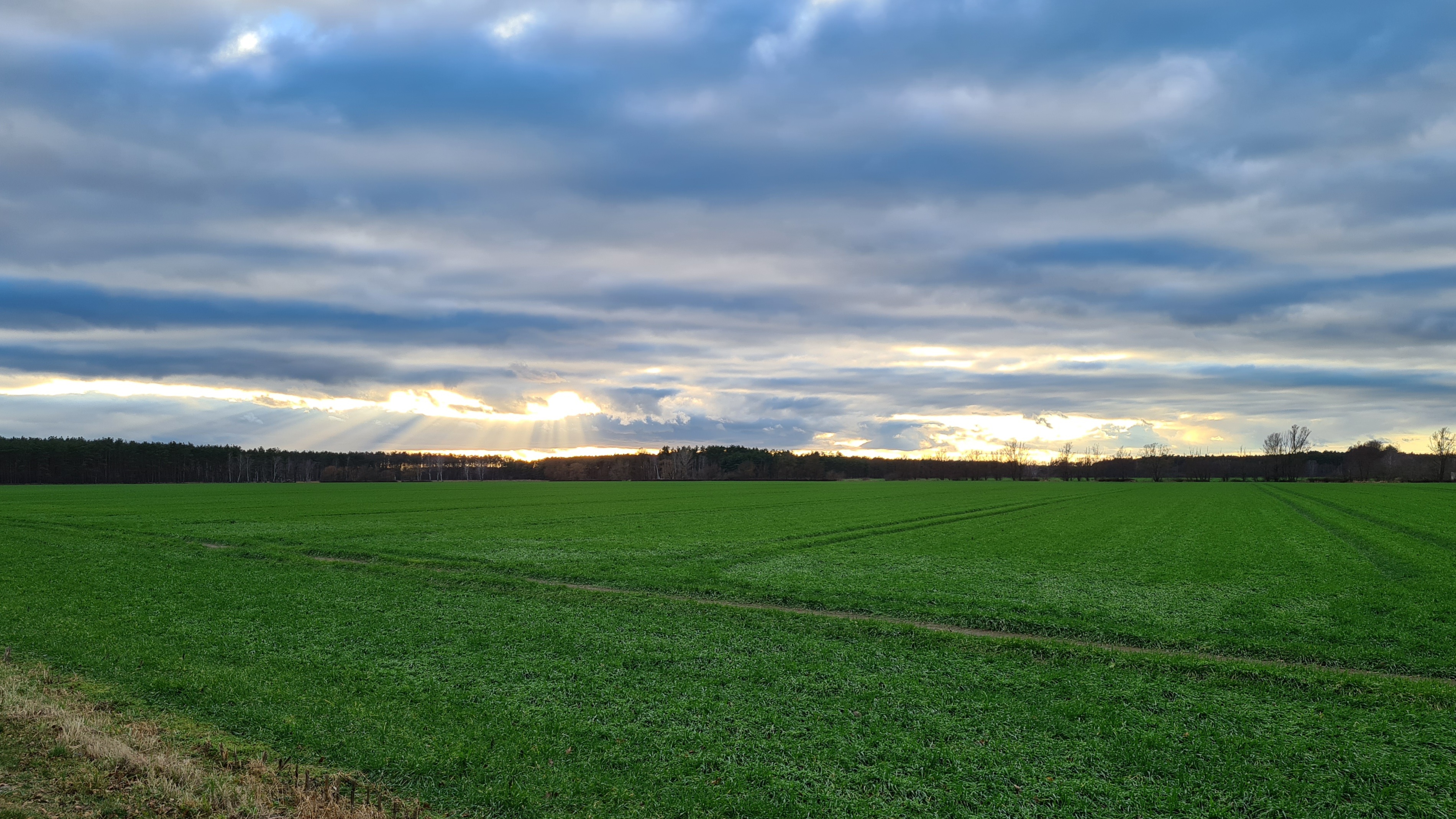 Herzberge Weite